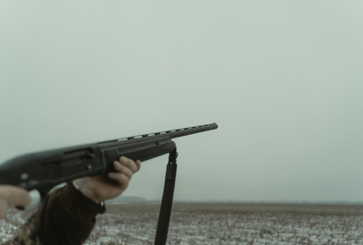 Carabinas